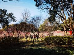 -无锡梅园公园
