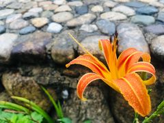 -大明山自然探索公园