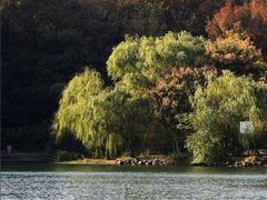 -紫霞湖公园