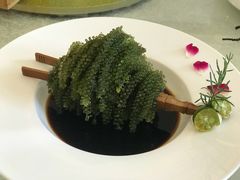 水晶海葡萄-安多素食(广仁寺路店)