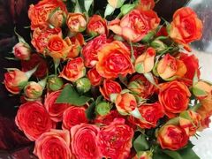 -循礼门鲜花花市(武汉循礼门店)