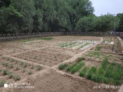 -延安杨家岭革命旧址