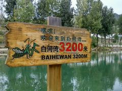 -白河湾山水缘民宿