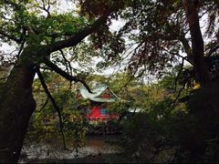 -井之头恩赐公园