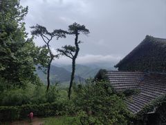 -莫干山风景区