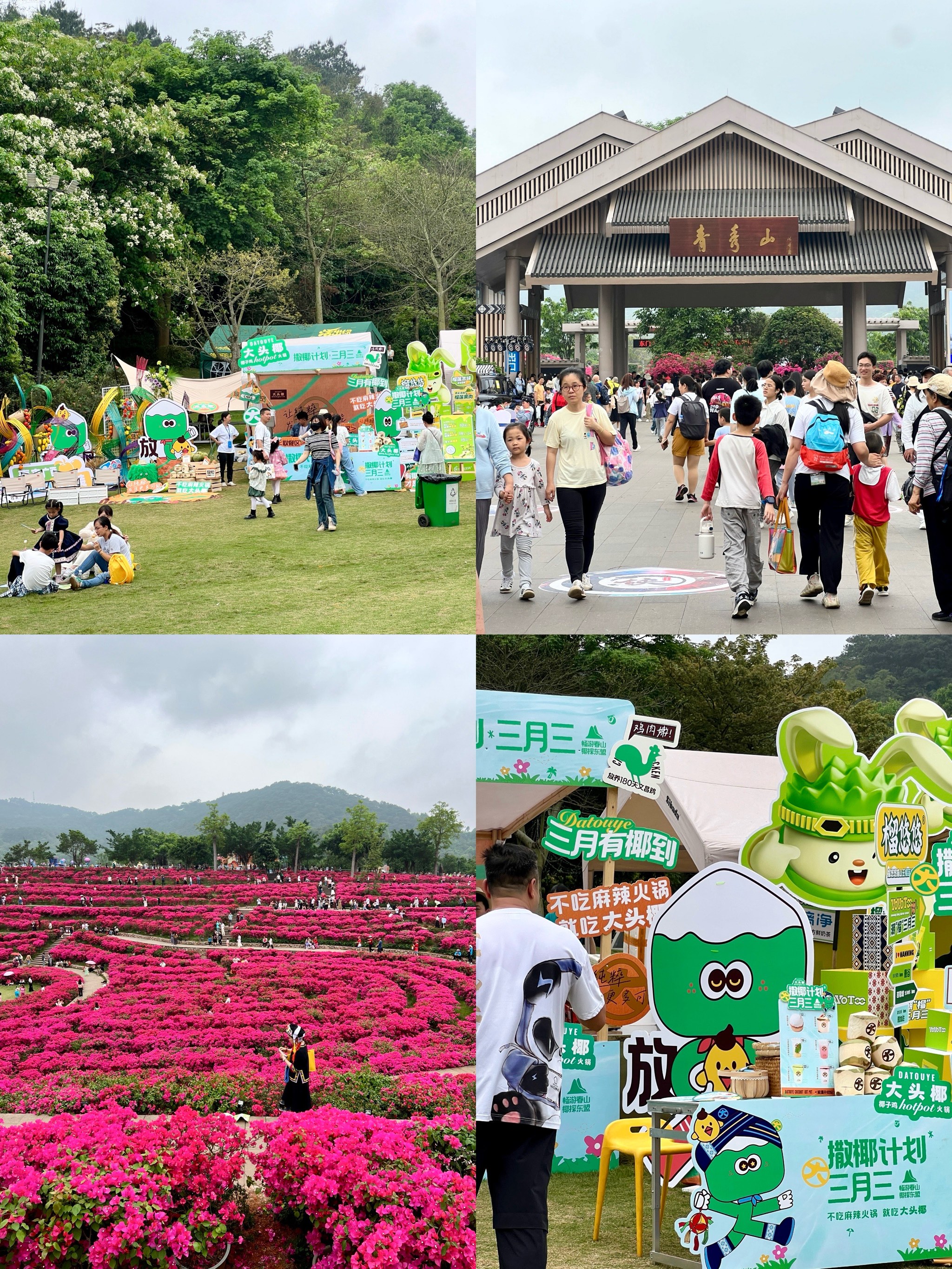 青秀山西门图片