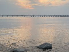 -宝安西湾红树林湿地公园