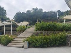 -东澳岛
