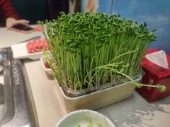 -海底捞火锅(万丰桥店)