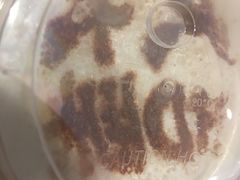 -COSTA COFFEE(上海五玠坊店)