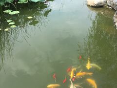 -武清南湖绿博园