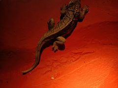 -御园堂影院足道(滨湖店)