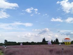 -鹅湖玫瑰文化园