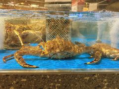 -盒马鲜生(莱蒙都会店)