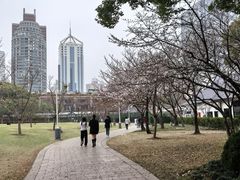 -新虹桥中心花园