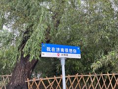 -济南大明湖景区