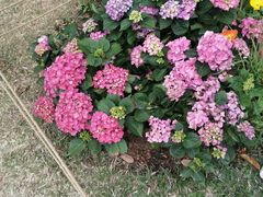 -人民公园(罗湖区)