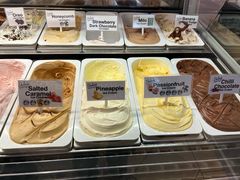 -Dooley's Premium Ice Cream