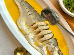 鸡汁大白鱼-食悦江南·淮扬菜·烤鸭(亚运村·惠新店)