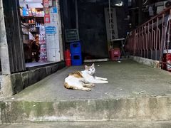 -重庆特色冷锅鱼(武大店)