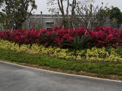 -宝安西湾红树林湿地公园