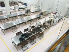 -歌斐颂巧克力小镇