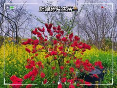 -高旻寺