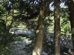 -神户市立六甲山牧场