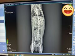 -喜多萌中农锦绣动物医院24H·猫科·牙科MRI·CT