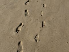 -玫瑰海岸文化旅游度假区