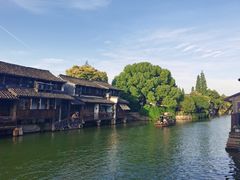 -乌镇西栅景区