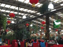 -兴芮温泉度假区