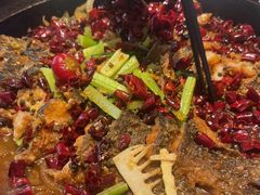 -老板恋上鱼(恒隆广场店)