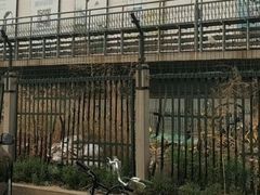-四道口水产市场