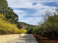 -北京西山国家森林公园