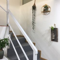 -Doris多里斯半永久纹眉·SMP纹发·发际线