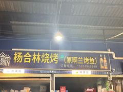 -杨合林啊兰烤鱼