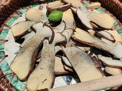 -蘑界·野生菌火锅(深业上城店)