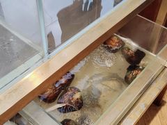 -十八字金银饰·拼豆·开蚌手工体验团建(君太百货店)