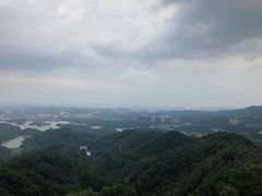 -大屏嶂森林公园
