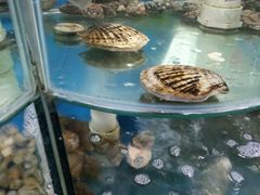 -晓伟海鲜家常菜