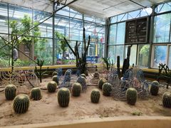 -南宫五洲植物乐园