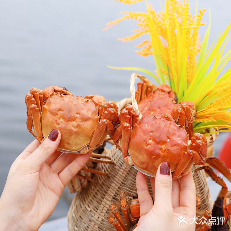 这家餐厅是真正的湖景餐厅,风景超惬意!阳澄湖大闸蟹