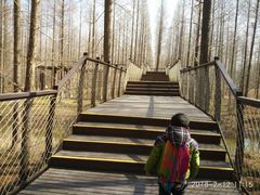 -黄海国家森林公园