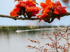 -海南霸王岭国家森林公园