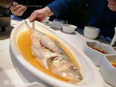 鲥鱼之思-民国红公馆·秦淮八艳(夫子庙店)