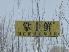 -掌上鲜(南顺城街店)