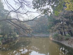 -叶家花园