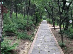 -磬锤峰森林公园