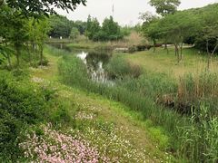 -尚贤河湿地